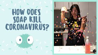 The science behind how soap destroys coronavirus