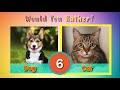 Would you rather pets edition  cute pets brain break  movement activity  phonicsman fitness