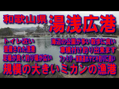 #153和歌山県湯浅広港名物湯浅醬油の町規模の大きいみかん畑の漁港人気の波止車横付け釣り出来ます波止低い安全ファミリー家族連れサビキ釣りに良トイレが横和歌山北IC阪和自動車道海南IC有田IC国道42号