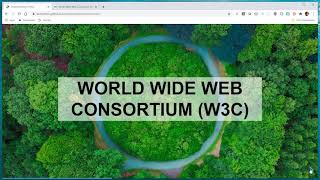 Understanding HTML - The Role of W3C and standards