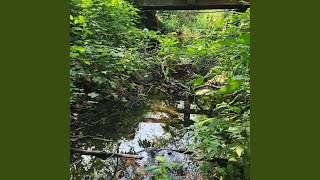 I Think Im Falling For You