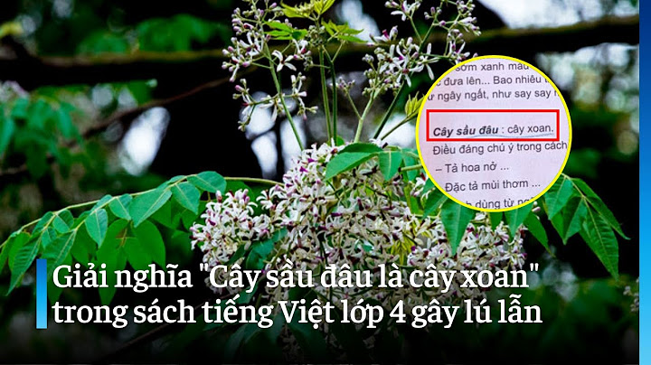 Cây xoan còn gọi là cây gì