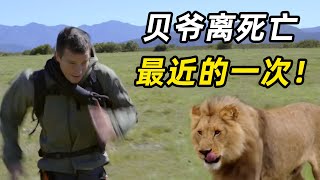 贝爷VS非洲狮，狮口逃生，蟒蛇缠绕，吓得窜树2米高