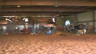 CIMG1212.AVI