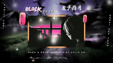 Blackk Panther-左手指月 -Upwards To the Moon🌙  Remix 2022