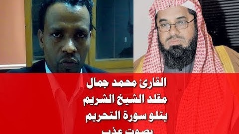القارئ محمد جمال مقلد الشيخ الشريم يتلو سورة التحريم بصوت عذب
