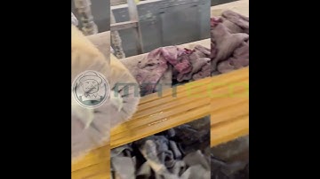 WPC wall panel production