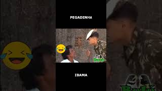 PEGADINHA DO IBAMA