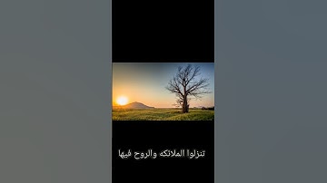 سوره القدر #حديث #قرآن #صلاة_الفجر #كتاب #الجمعه #الصلاة #علم #الصلاة_على_النبي #السعوديه #مصر