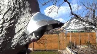 Подскажите как заделать дупло в плодовом дереве ?(, 2013-10-31T15:02:27.000Z)