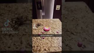 i got the bubble guts #funny #foryou #fypシ #fypシ゚viral #ishowspeed #ytshorts #shorts