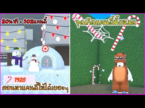 Roblox : Wacky Wizards วิธีเก็บแคนดี้ให้ได้เยอะๆและจุดเกิดแคนดี้ทั้งหมด