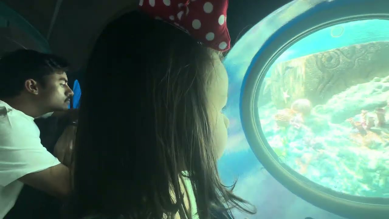 Finding Nemo Submarine Voyage || Disneyland || LA