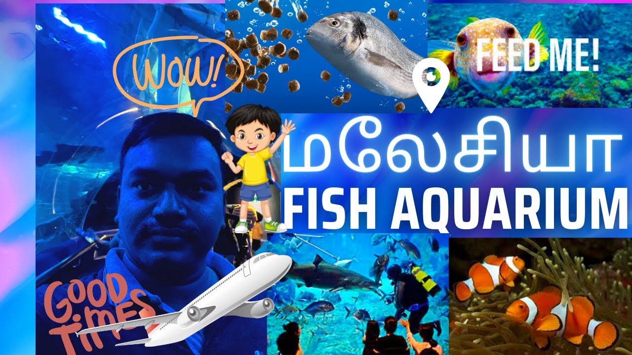 Visiting the Malaysia Aquarium in Kuala Lumpur and seeing amazing fish