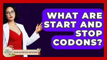 What Are Start And Stop Codons? - Your Nutrition Network