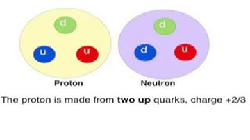 ! Quarks and leptons for beginners