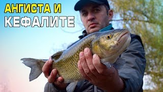 :     / Chub river fishing