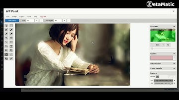 Applying Blur and Gradient Effects to Image using WP Paint - WordPress Image Editor