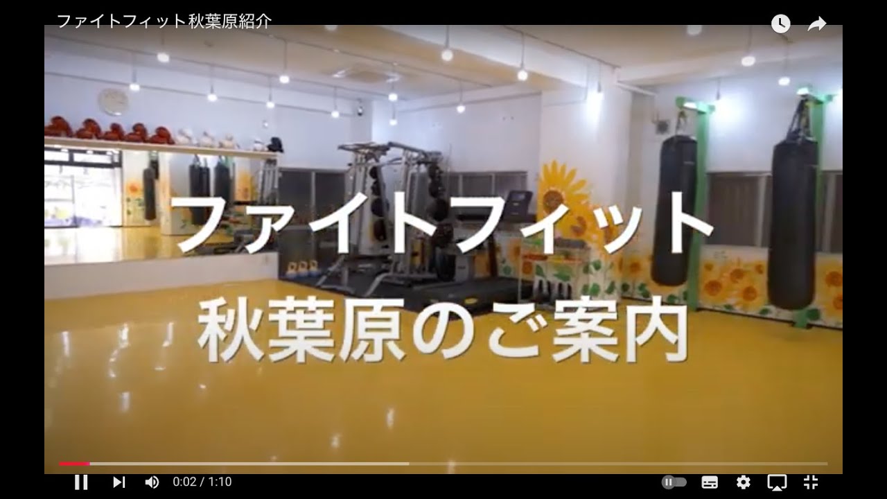 ファイト フィット 秋葉原