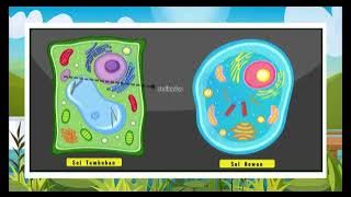 CARA MUDAH MEMPELAJARI SEL HEWAN DAN SEL TUMBUHAN