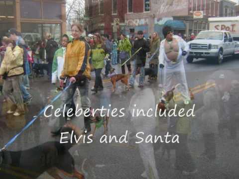 st pattys day parade louisville ky 2025 bardstown rd