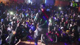 JEMAX Panda Cover (live performance)