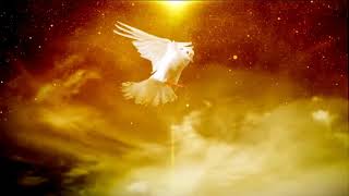 Holy Spirit in a form of Dove video background loop Happy Easter No copyright vi