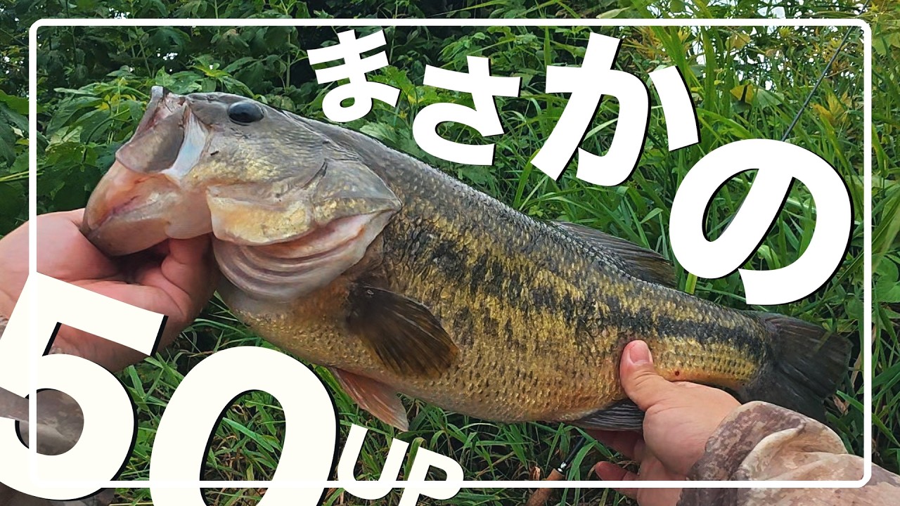 やっぱりこのルアーはやばい…【50UP降臨】