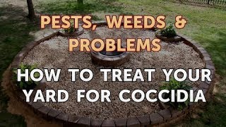 How to Treat Your Yard for Coccidia