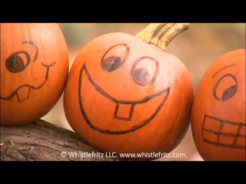 5 sur 1 Citrouille LOLLY Chocolat Moule//Moules//PEUR//Bizarre//Halloween//Parti//PV509
