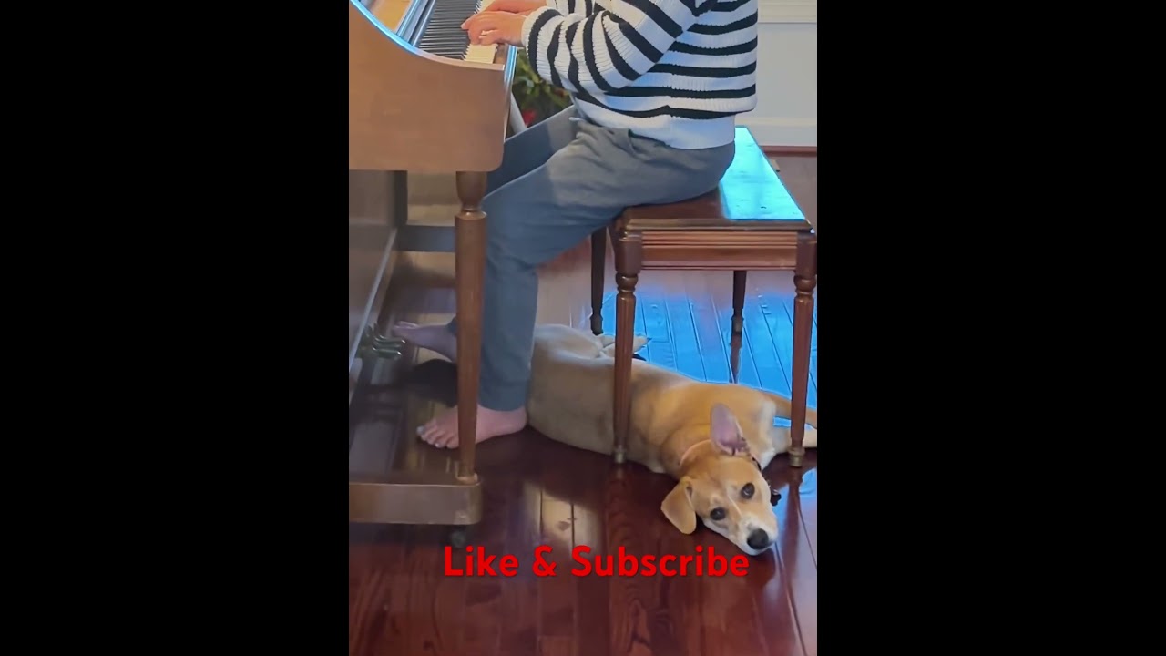 Suki Joy loves it when Mommy plays on our (out of tune) piano!