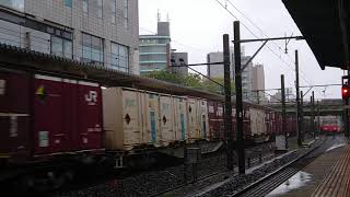 【目の前で…】JR東海EF210形 136号機牽引 貨物列車 金山駅通過
