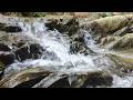 Hidden Natural Waterfall Stream | Relaxing Nature Scenery 🌿💧