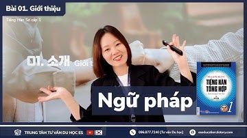 👩‍🏫 Bài 01. 소개 I Giới thiệu (Ngữ pháp) - Tiếng Hàn Sơ cấp 1 [ES CHANNEL]