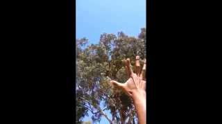 First Person Aerokinesis laying down under a tree :)