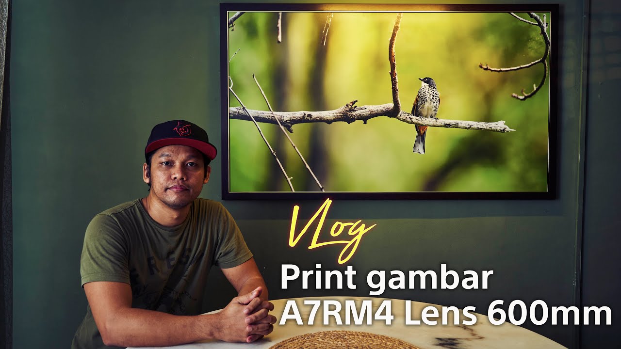 Vlog Print gambar burung dari kamera A7RM4 lens 600mm Vlog Print gambar burung dari kamera A7RM4 lens 600mm