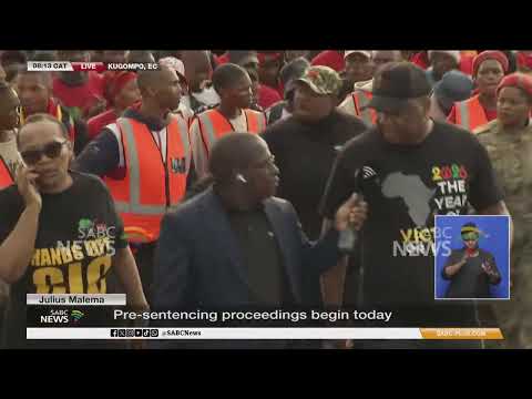 Julius Malema's firearm case