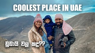 TALLEST MOUNTAIN OF UAE? | JEBEL JAIS