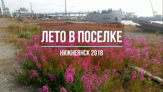 п.Нижнеянск 18.08.2018, Лето в поселке, Прогулка до реч.порта, Запасы ряпушки на зиму