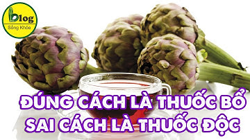 Tác dụng trị bên của Atiso và những hiểm họa nếu dùng không đúng cách