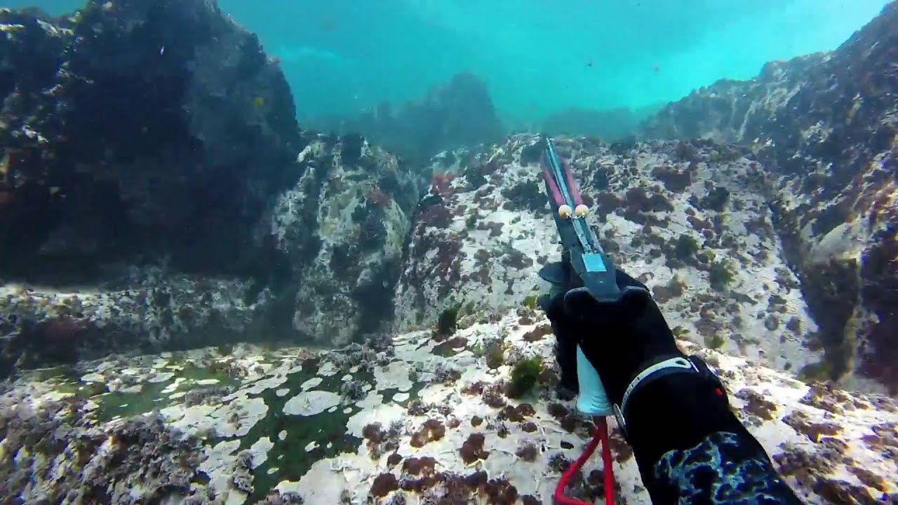 Pesca submarina en la orilla, A Coruña (2 de junio)