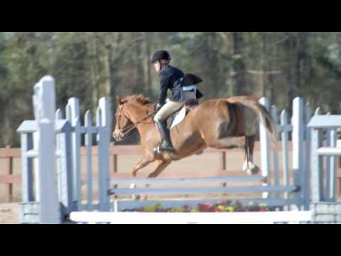 Evermore Farm IEA Horse Show, SCR