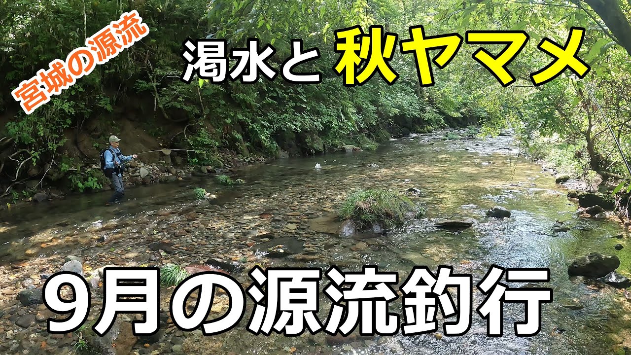 9月の源流釣行 / 渇水と秋ヤマメ / みちのく釣りの旅  ﾌﾗｲﾌｨｯｼﾝｸﾞ渓流釣り(4K) fly fishing