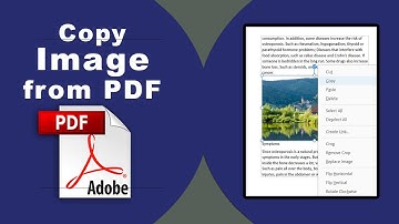 How to copy image from PDF using Adobe Acrobat Pro DC