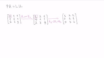 The PA = LU factorization with row exchanges