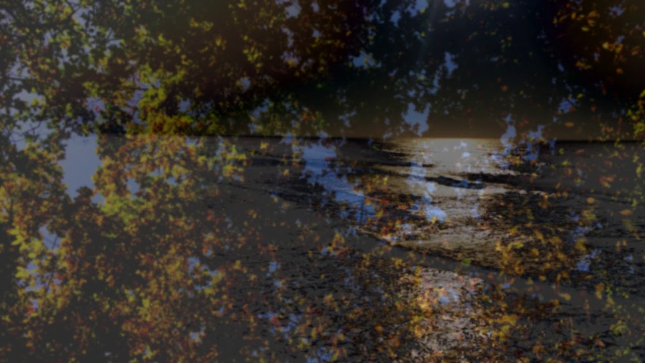 Martin Meixner – Lift Up Your Head [official]