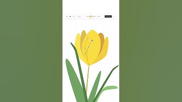 ⚡️New: Vector Editor On Tilda #shorts