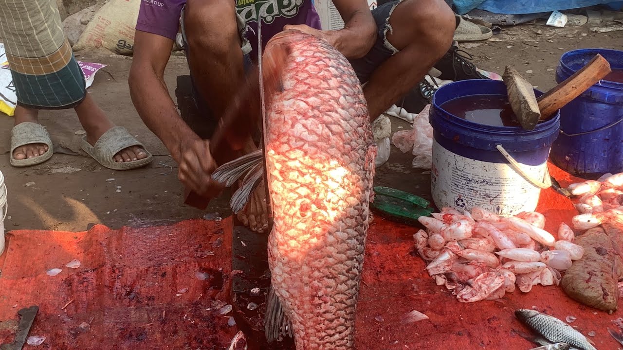 I never seen ll amazing big Gresscrup fish cutting live skills by expert fish cutter in Bangladesh 