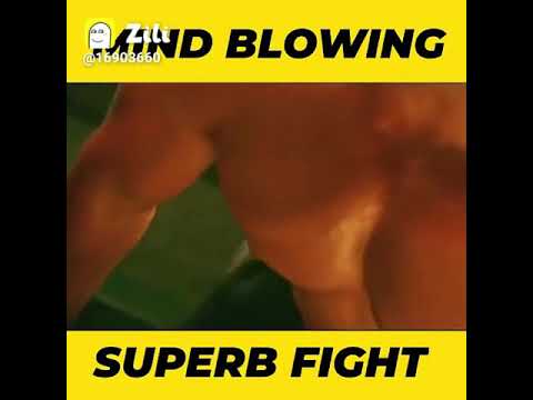 John Abraham fight