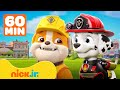 Rubble &amp; PAW Patrol: Resgates de fogo com Marshall! Skye, Rocky e Chase | 1 hora | Nick Jr.